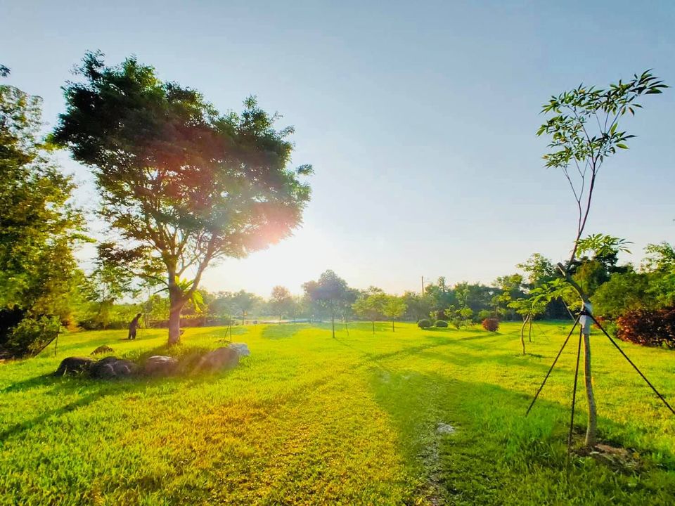 宜蘭露營-Myasa-迷雅薩休閒農莊露營區