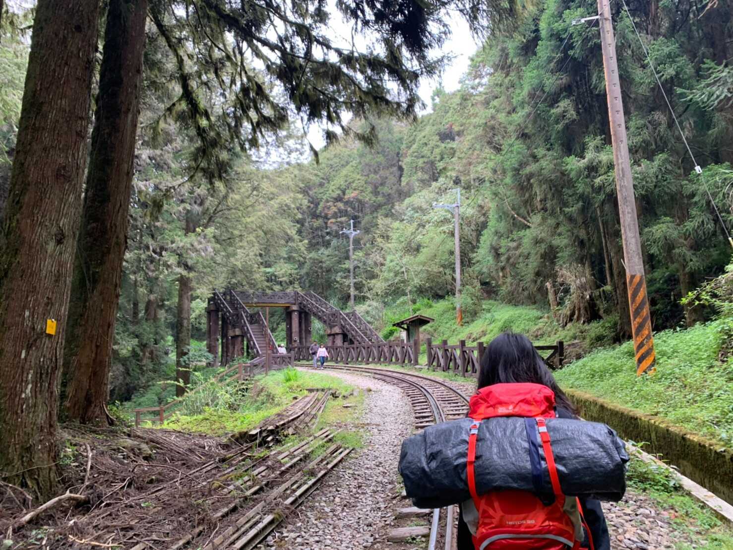 阿里山_200507_0610.jpg 眠月線