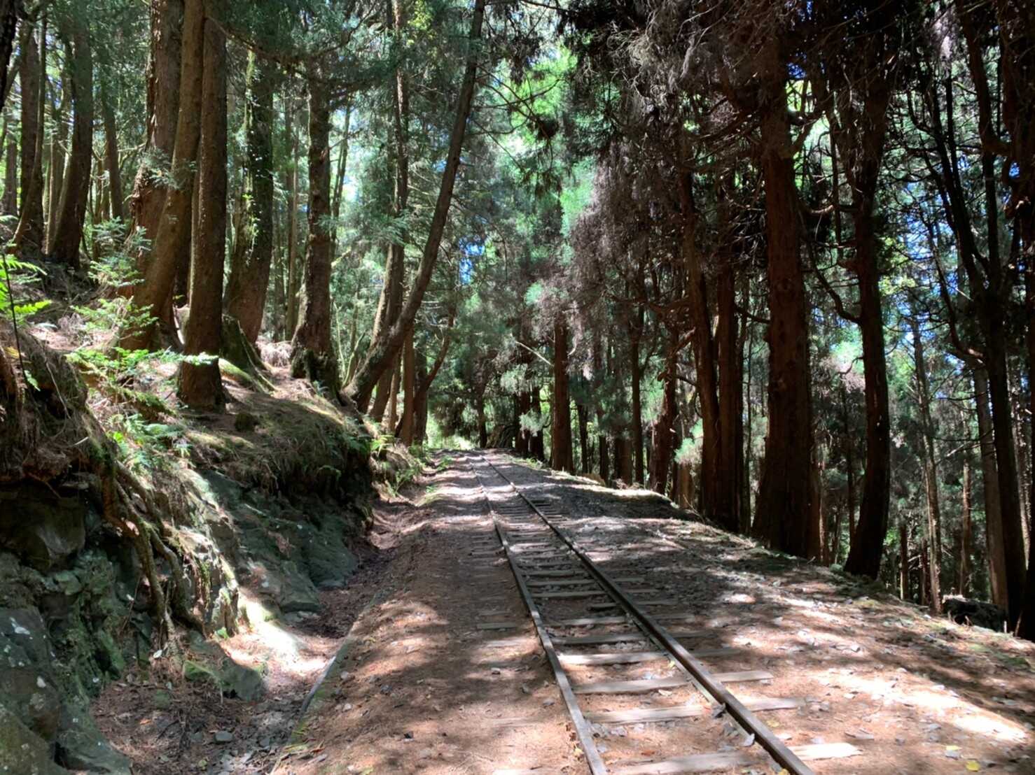 阿里山_200507_0726.jpg 眠月線