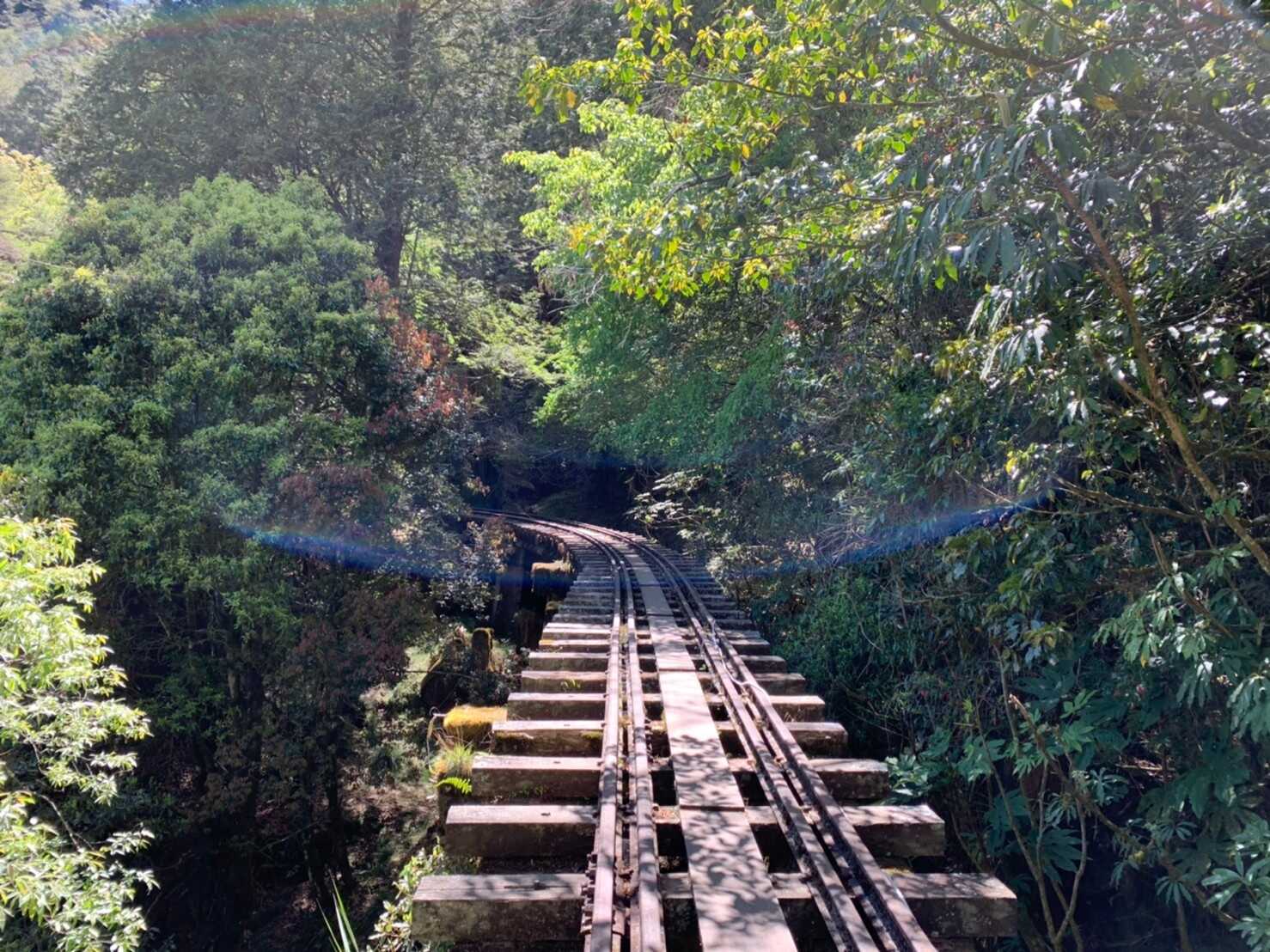 阿里山_200507_0691.jpg 眠月線