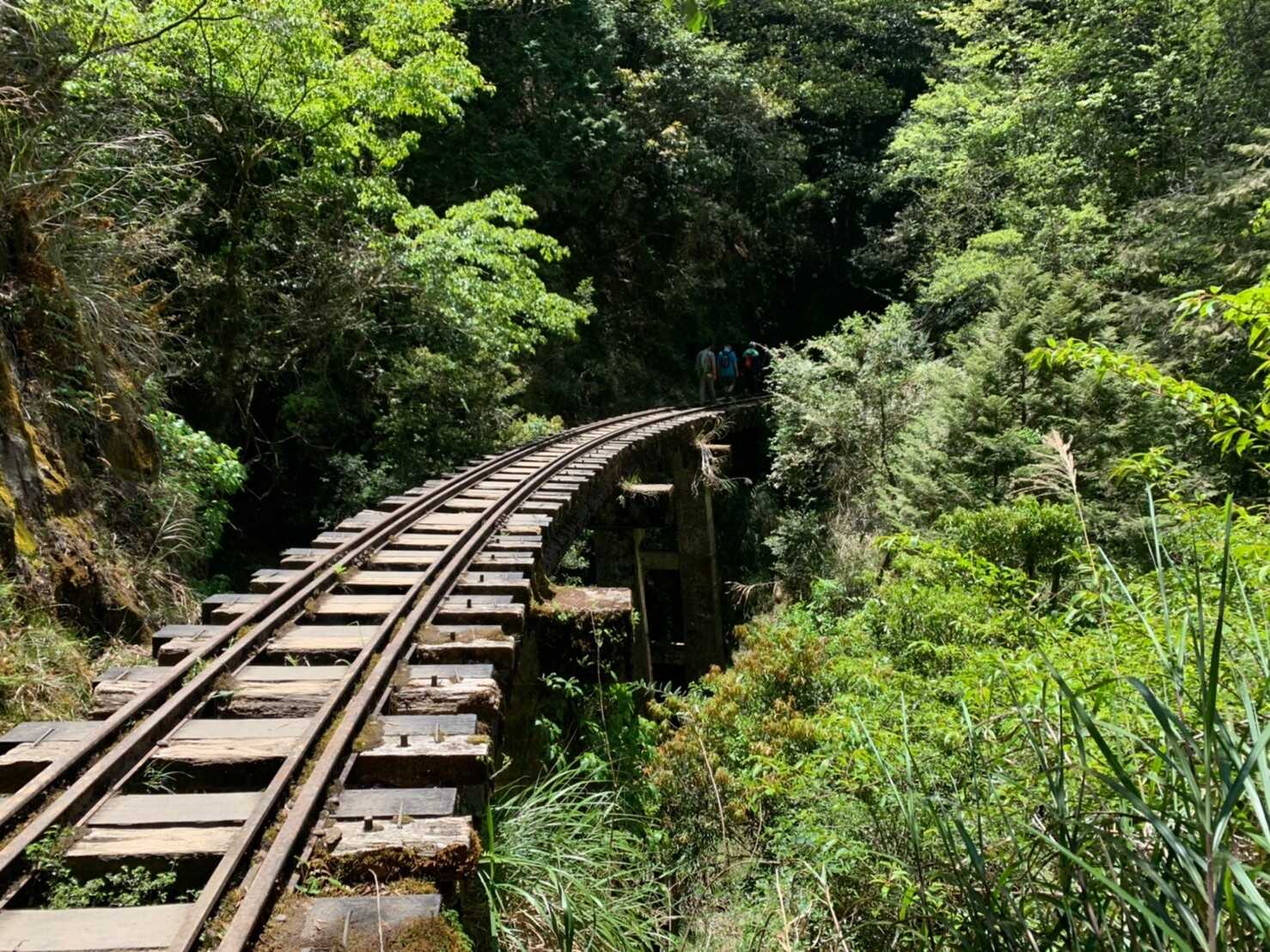 阿里山_200507_0742.jpg 眠月線