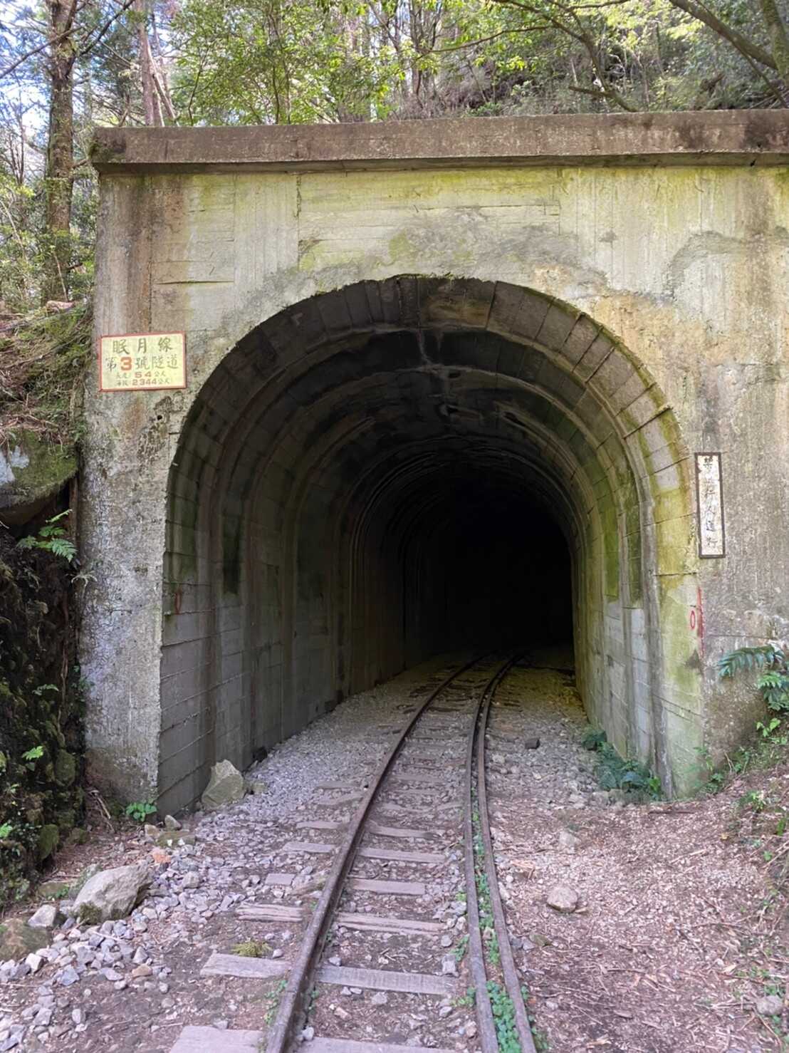 阿里山_200507_0022.jpg 眠月線