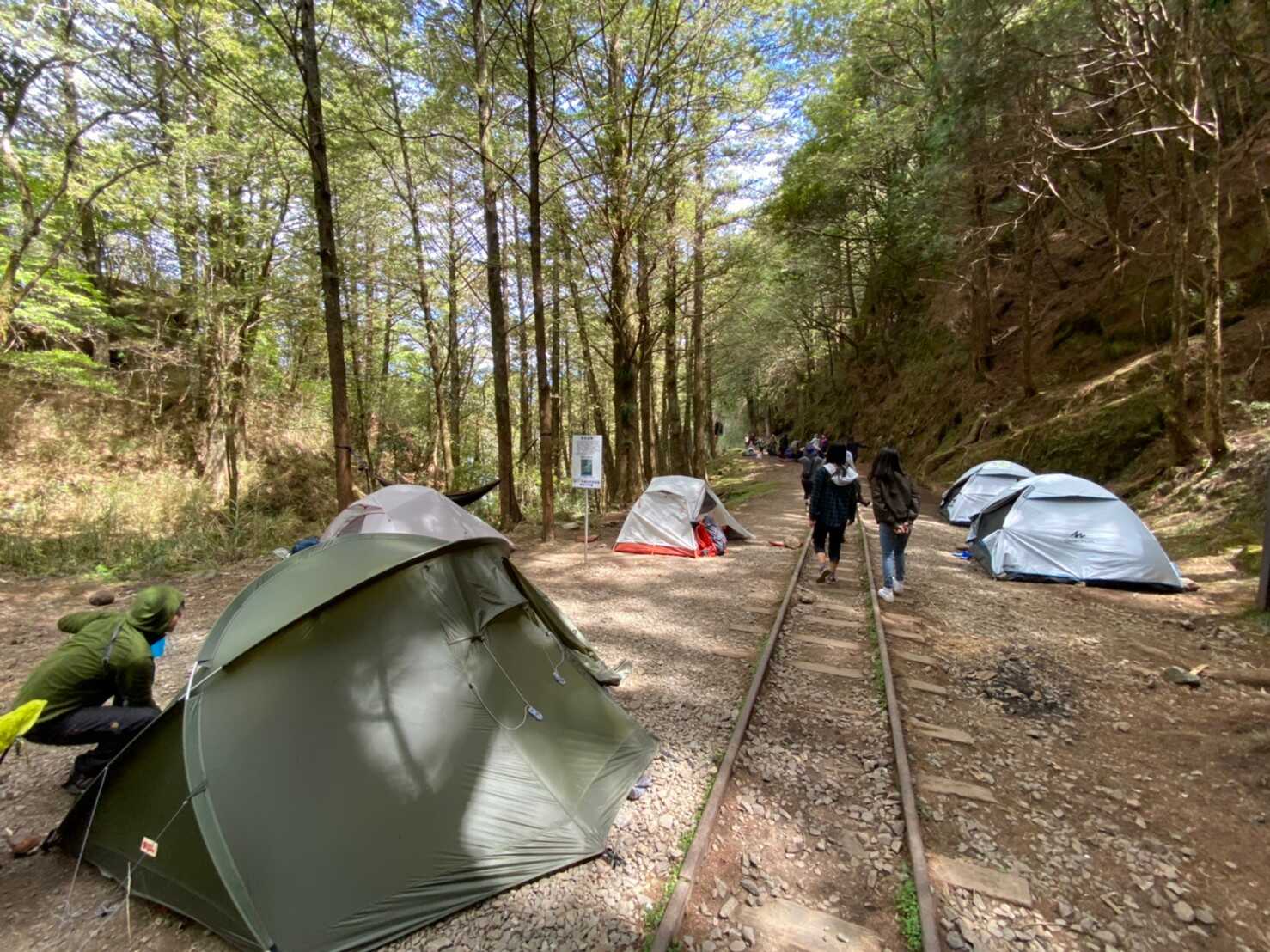 阿里山_200507_0250.jpg 眠月線