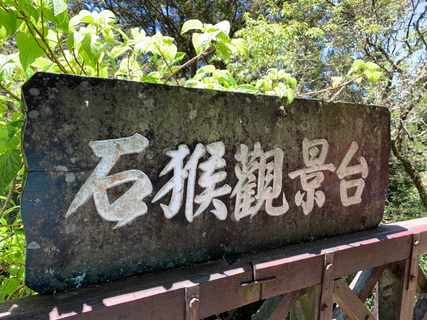 阿里山_200507_0725.jpg 眠月線