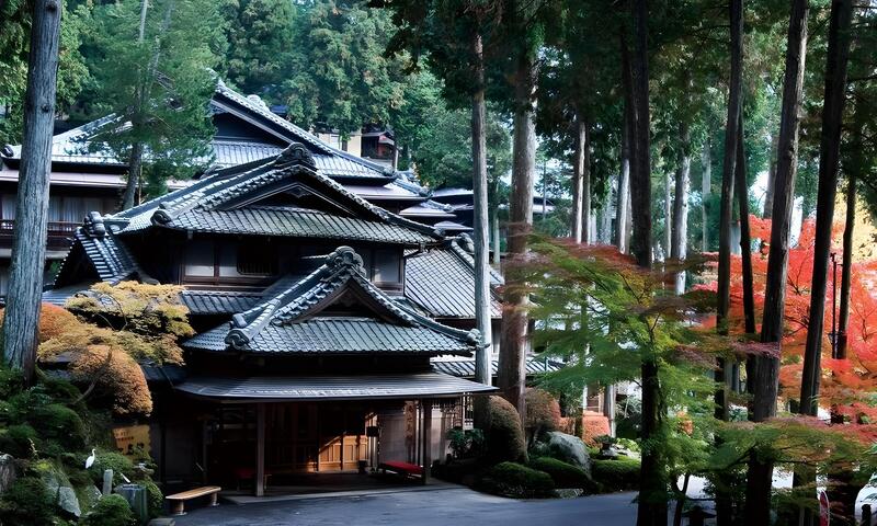 下呂溫泉湯之島館