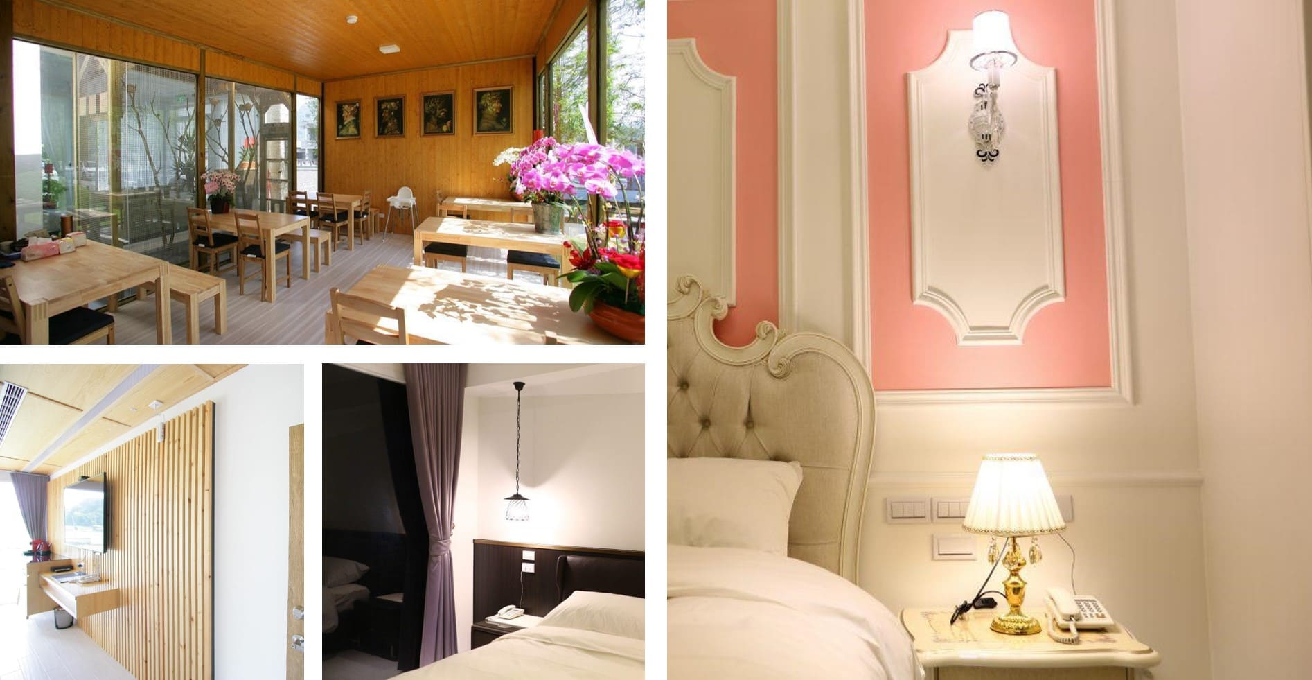 夏內爾落羽松民宿