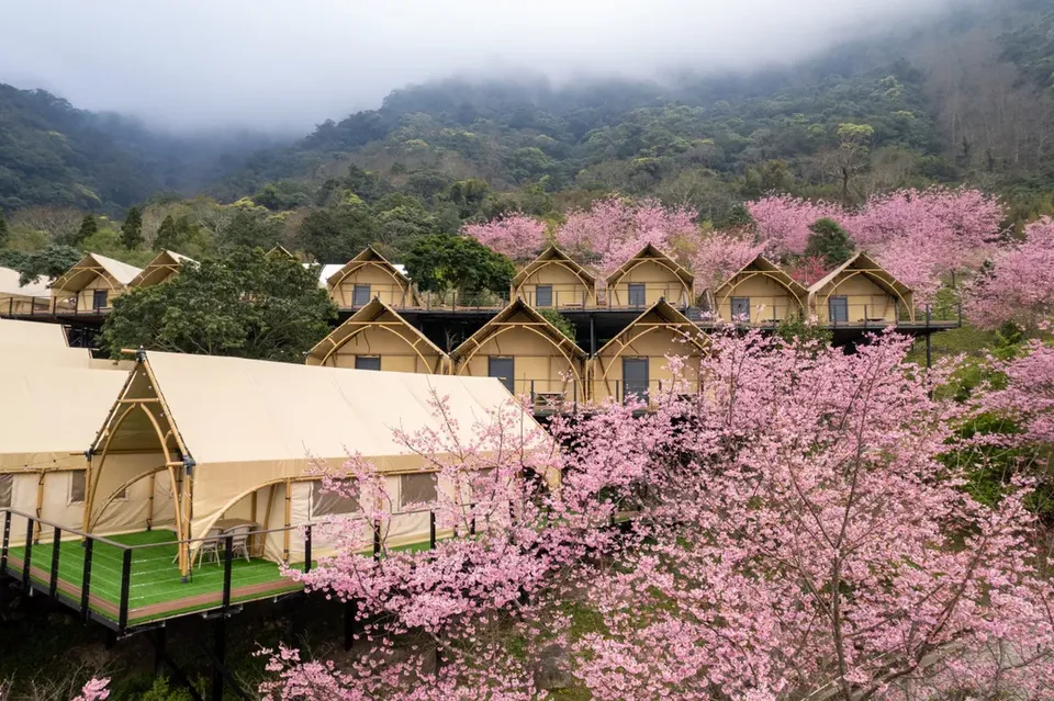 新竹露營-星空漫漫