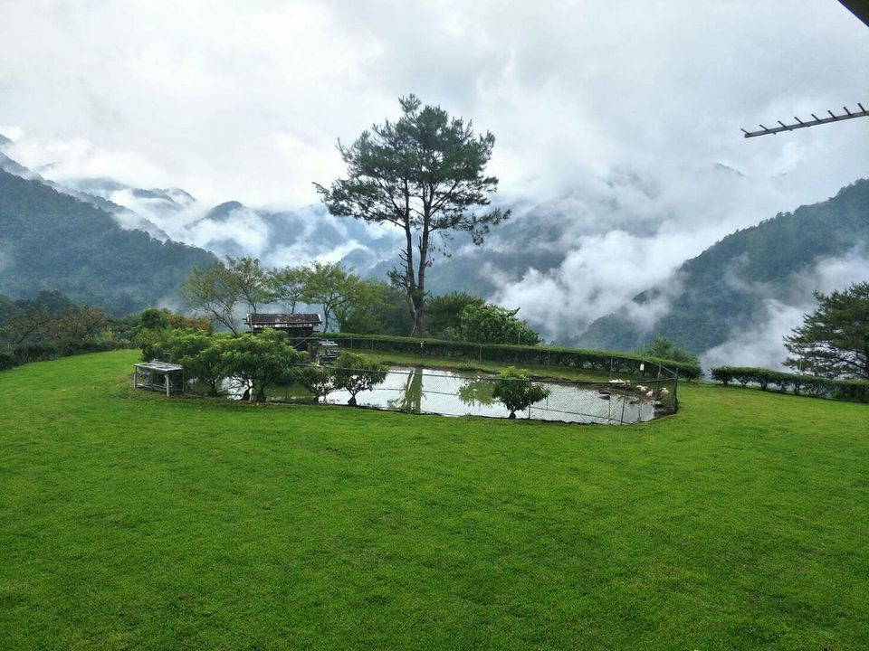台中露營-春露茶園