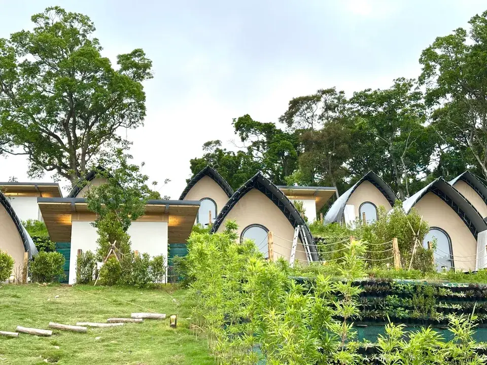 苗栗露營-杉棲山旭