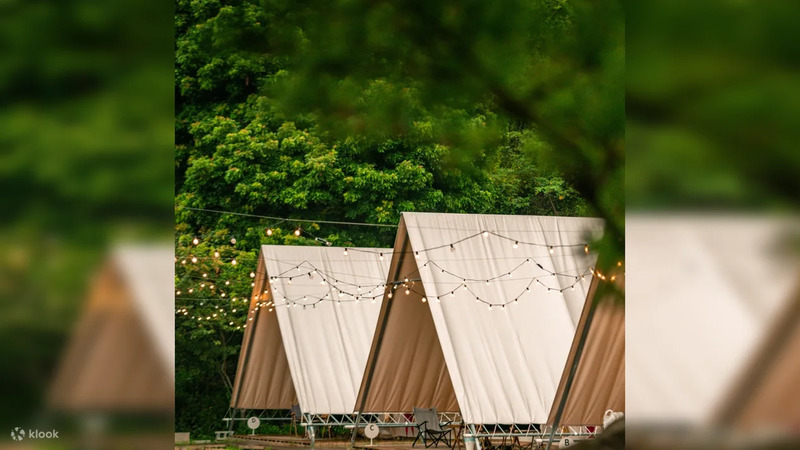 台中露營-蟬說:山中靜靜